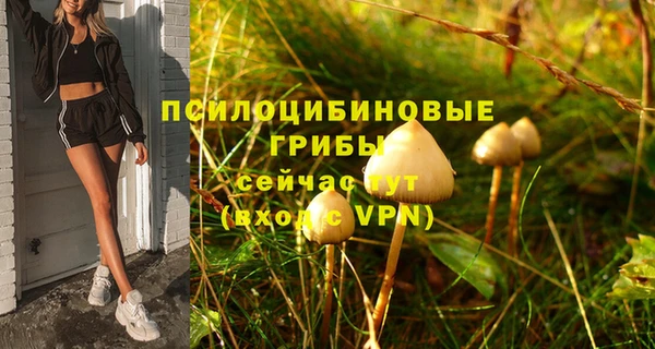 марки lsd Богданович