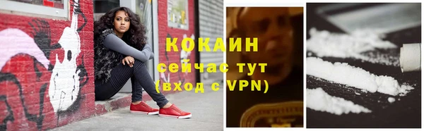 бошки Богородицк