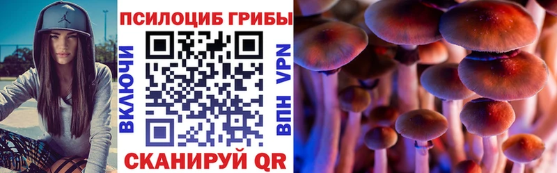 Купить закладки Хвалынск Галлюциногенные грибы мицелий